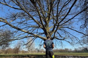 Why We Are Losing So Many Trees in London