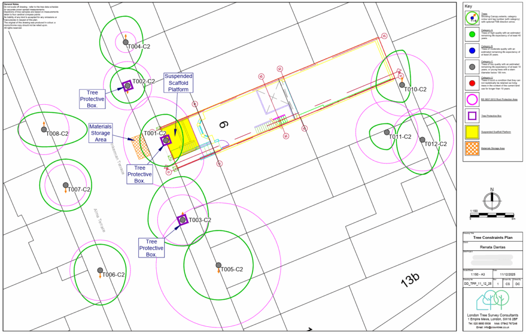 Tree Survey for Planning Permission in London: What Your Report Must Include
